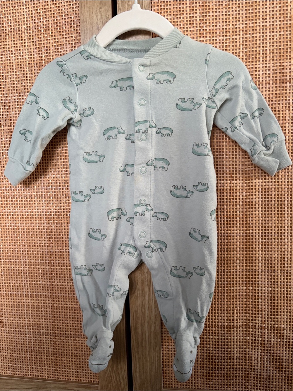 🦛0-3mo Carters Footed One-Piece in Pale Mint with Hippo Print
